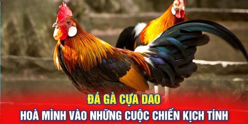 Giới thiệu về loại hình giải trí truyền thống tại Đông Nam Á